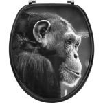 Κάλυμμα λεκάνης Mdf 37,5×46 cm Πίθηκος