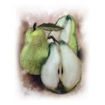 Ρόλερ Κουζίνας με Ψηφιακή Εκτύπωση