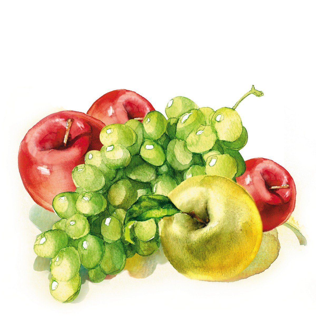 E120 Ρόλερ Κουζίνας με Ψηφιακή Εκτύπωση - Image 1