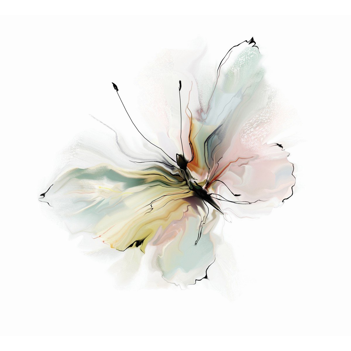 E172 Ρόλερ με Ψηφιακή Εκτύπωση - Image 1