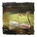 Ρόλερ με Ψηφιακή Εκτύπωση