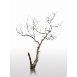 Ρόλερ με Ψηφιακή Εκτύπωση