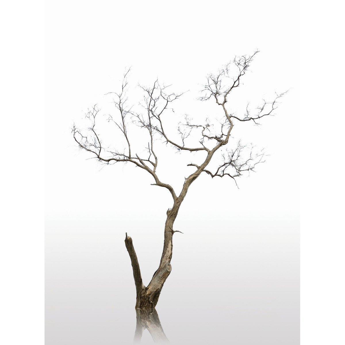 E177 Ρόλερ με Ψηφιακή Εκτύπωση - Image 1