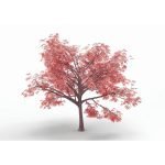 Ρόλερ με Ψηφιακή Εκτύπωση