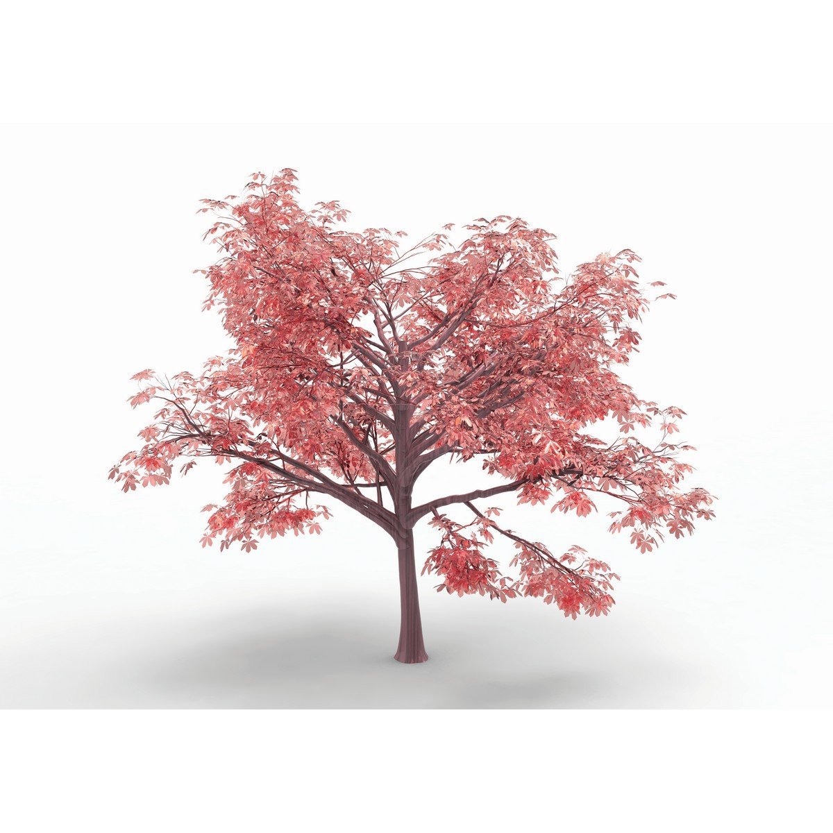 E178 Ρόλερ με Ψηφιακή Εκτύπωση - Image 1