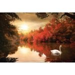 Ρόλερ με Ψηφιακή Εκτύπωση