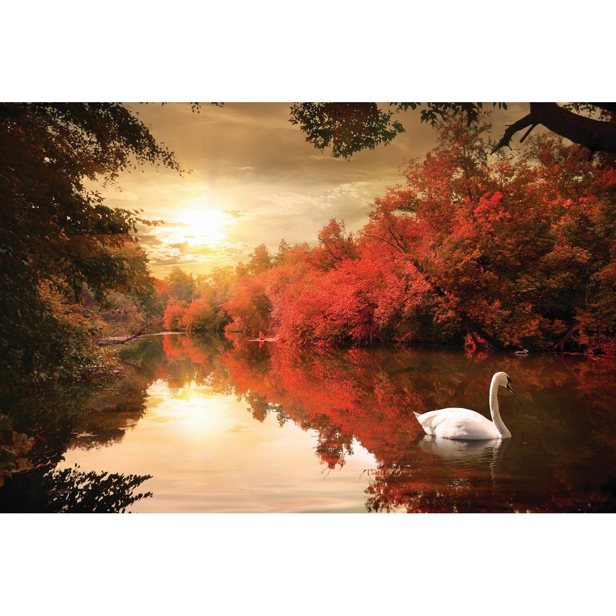 E179 Ρόλερ με Ψηφιακή Εκτύπωση - Image 1