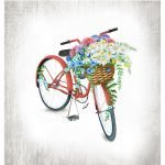 Ρόλερ Παιδικό με Ψηφιακή Εκτύπωση