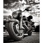 Ρόλερ Παιδικό με Ψηφιακή Εκτύπωση