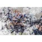 Ρόλερ Παιδικό με Ψηφιακή Εκτύπωση