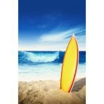 Ρόλερ Παιδικό με Ψηφιακή Εκτύπωση