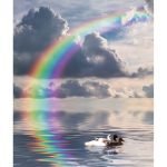 Ρόλερ με Ψηφιακή Εκτύπωση