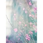 Ρόλερ με Ψηφιακή Εκτύπωση