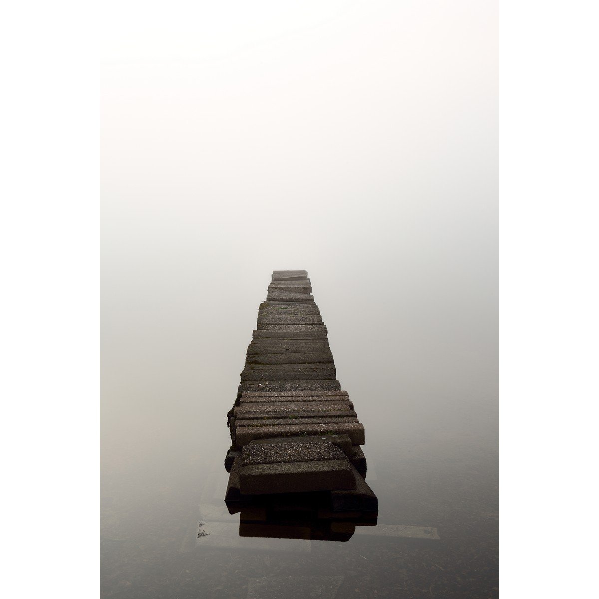 E391_115122403 Ρόλερ με Ψηφιακή Εκτύπωση - Image 1