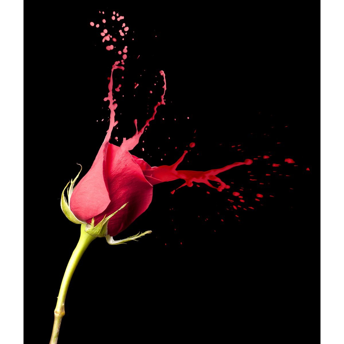 E400_113296225 Ρόλερ με Ψηφιακή Εκτύπωση - Image 1