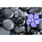 Ρόλερ με Ψηφιακή Εκτύπωση