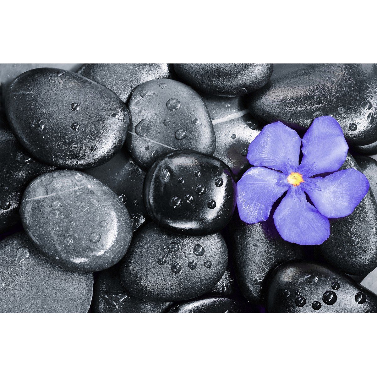 E401_275800577 Ρόλερ με Ψηφιακή Εκτύπωση - Image 1