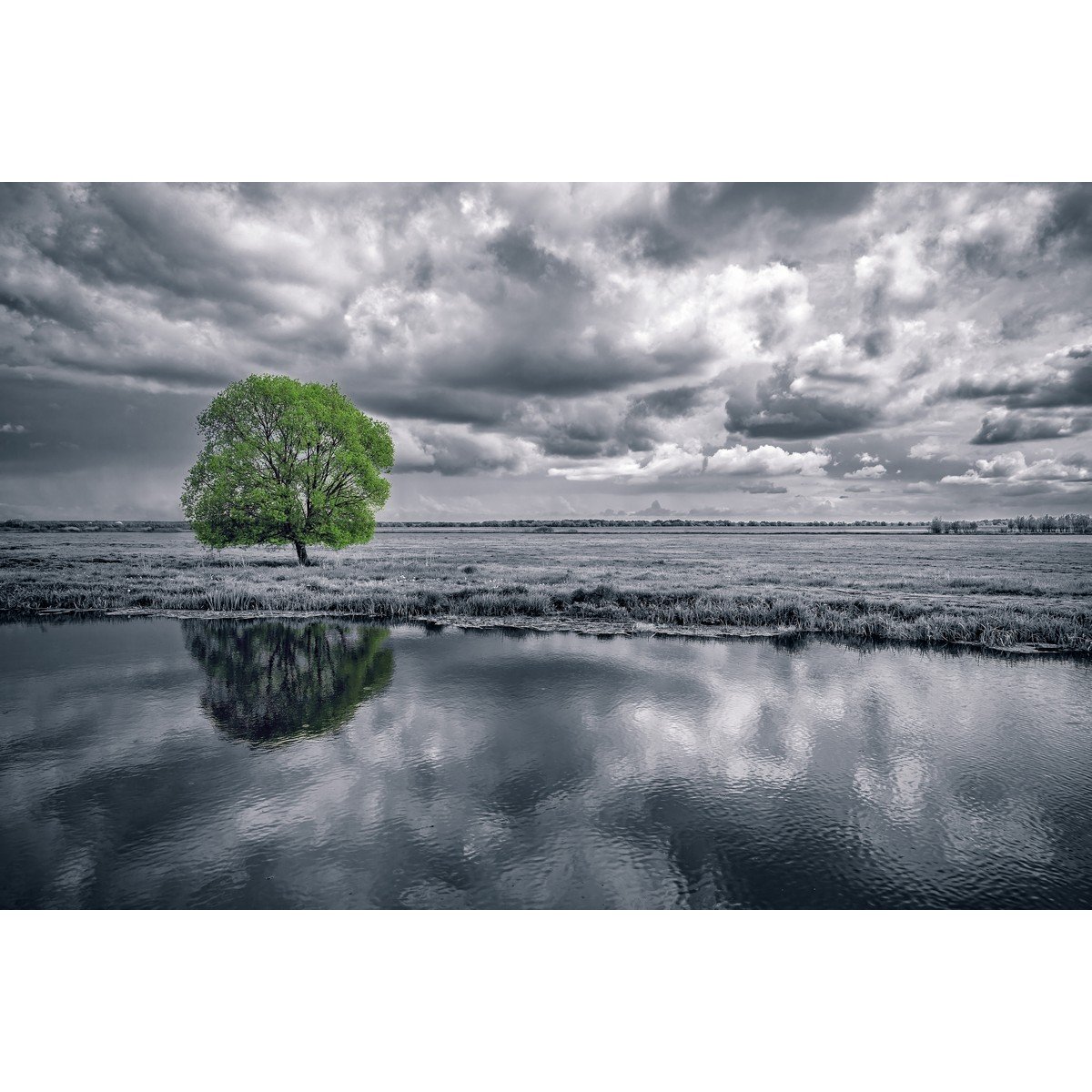 E405_386523172 Ρόλερ με Ψηφιακή Εκτύπωση - Image 1