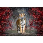 Ρόλερ με Ψηφιακή Εκτύπωση