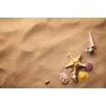 Ρόλερ με Ψηφιακή Εκτύπωση