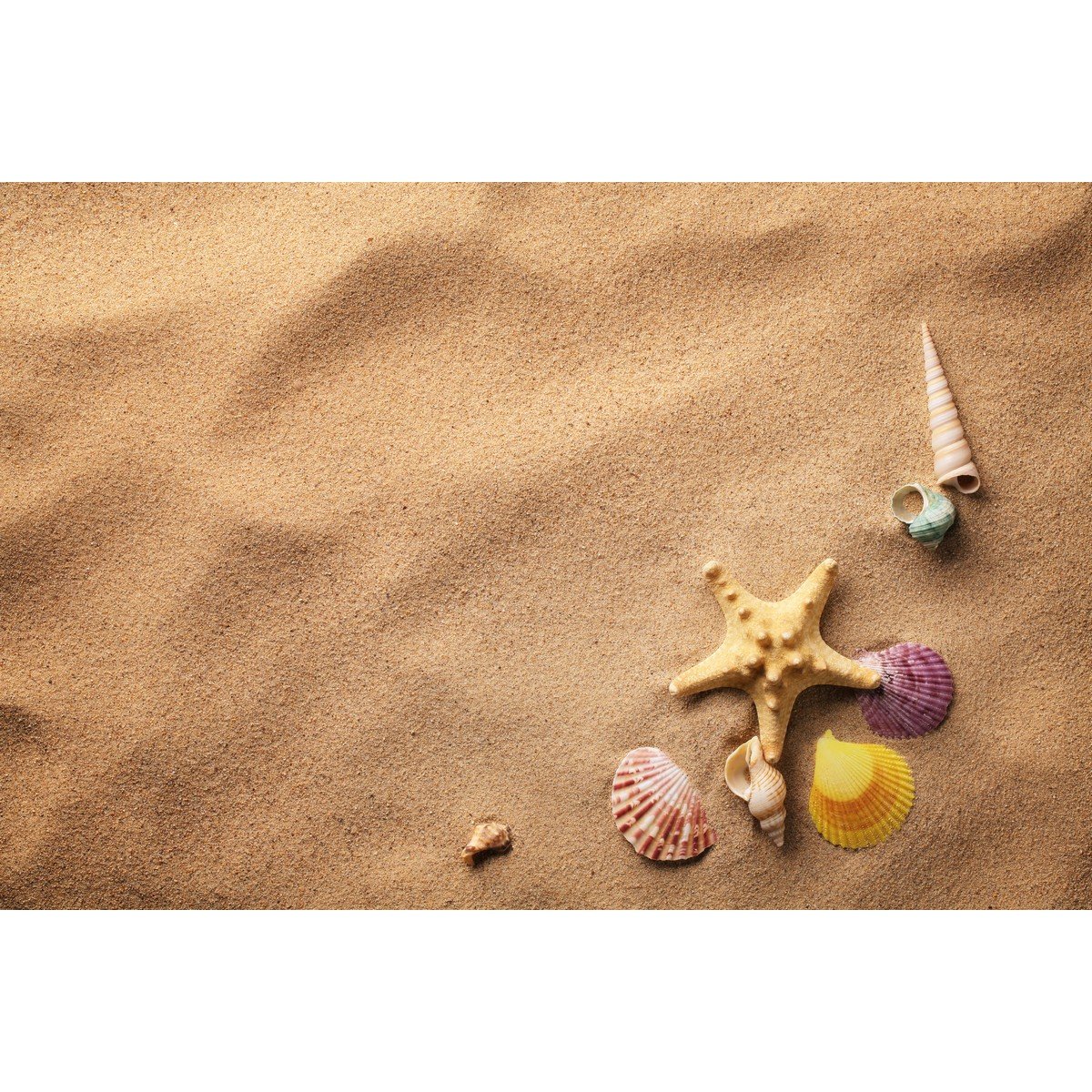 E410_194550773 Ρόλερ με Ψηφιακή Εκτύπωση - Image 1