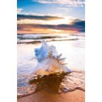 Ρόλερ με Ψηφιακή Εκτύπωση