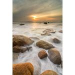 Ρόλερ με Ψηφιακή Εκτύπωση