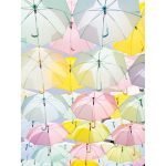 Ρόλερ με Ψηφιακή Εκτύπωση