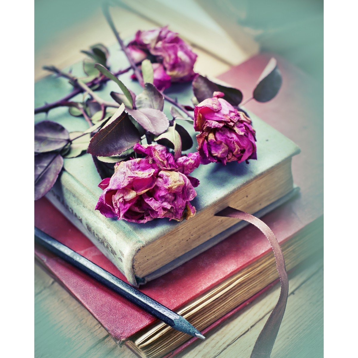 E427_160645850 Ρόλερ Vintage με Ψηφιακή Εκτύπωση - Image 1