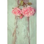 Ρόλερ Vintage με Ψηφιακή Εκτύπωση