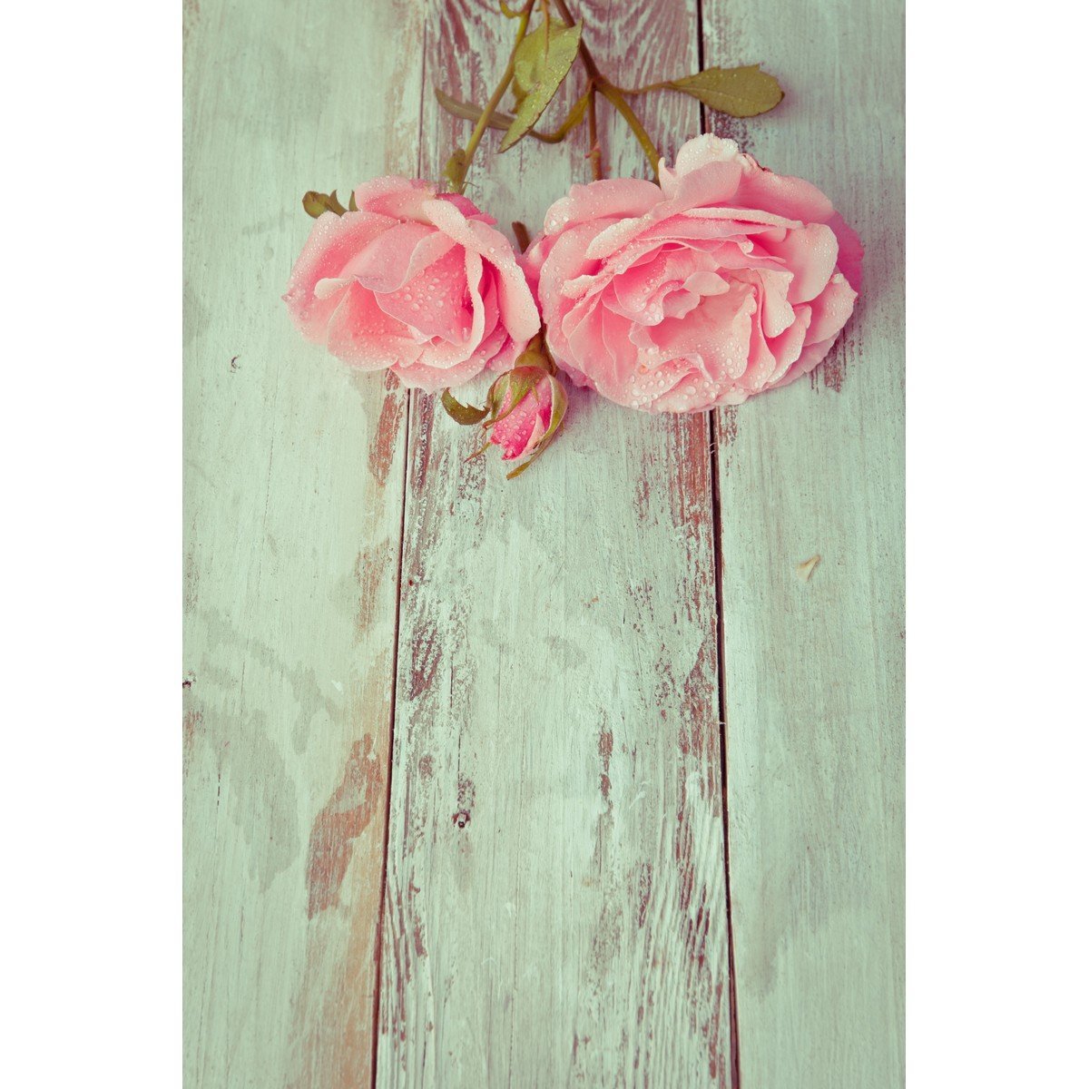 E428_156374756 Ρόλερ Vintage με Ψηφιακή Εκτύπωση - Image 1