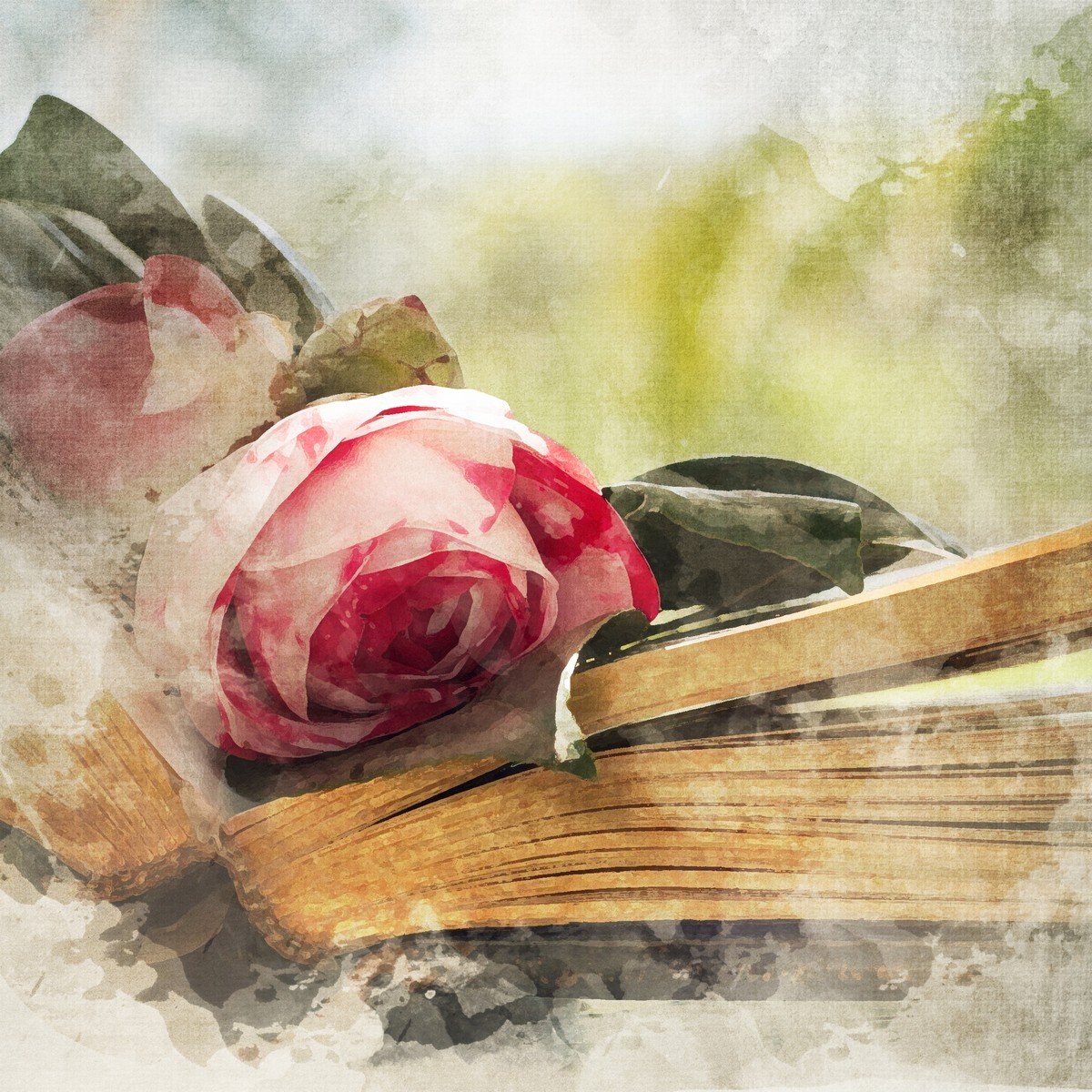 E430_333697367 Ρόλερ Vintage με Ψηφιακή Εκτύπωση - Image 1