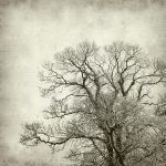 Ρόλερ Vintage με Ψηφιακή Εκτύπωση