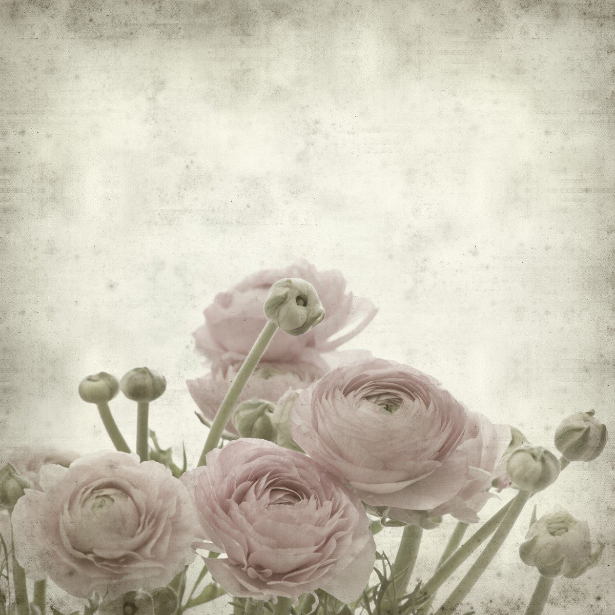 E434_72145117 Ρόλερ Vintage με Ψηφιακή Εκτύπωση - Image 1