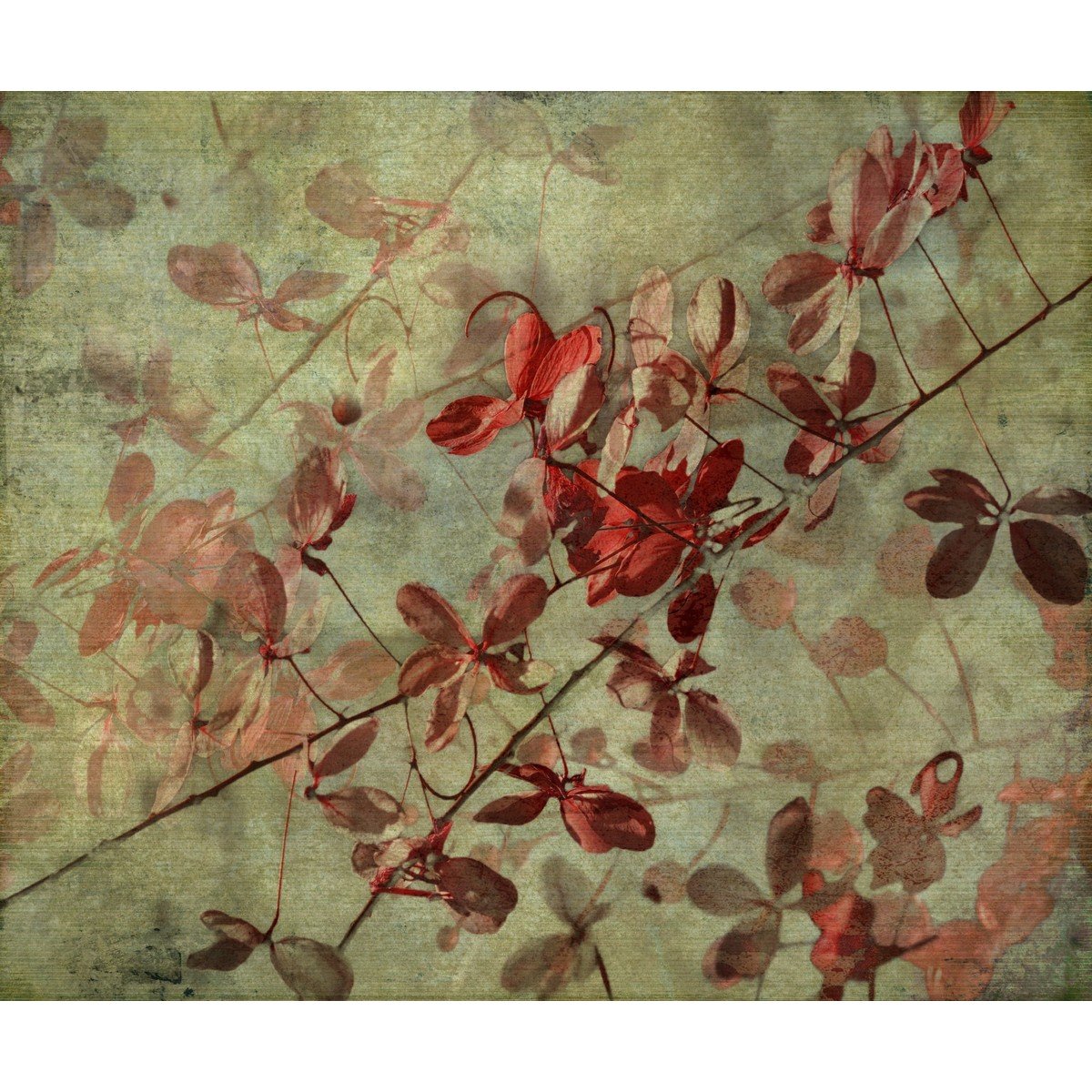 E437_57064825 Ρόλερ Vintage με Ψηφιακή Εκτύπωση - Image 1