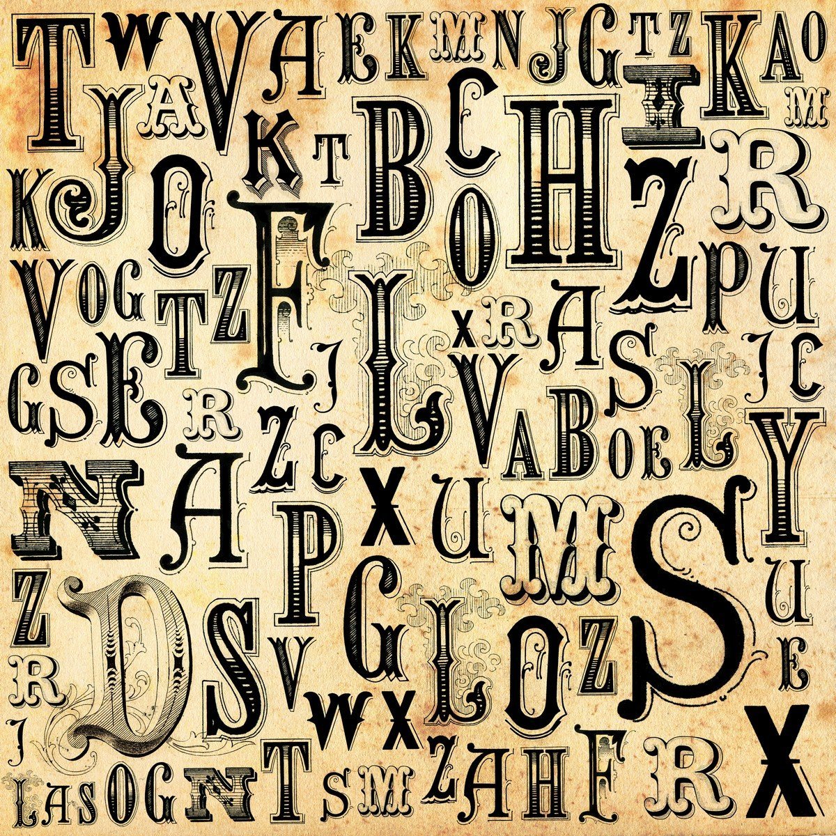 E438_127951538 Ρόλερ Vintage με Ψηφιακή Εκτύπωση - Image 1