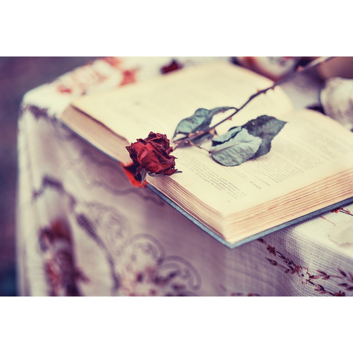 E439_333508088 Ρόλερ Vintage με Ψηφιακή Εκτύπωση - Image 1