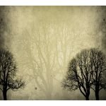 Ρόλερ Vintage με Ψηφιακή Εκτύπωση