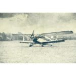 Ρόλερ Vintage με Ψηφιακή Εκτύπωση