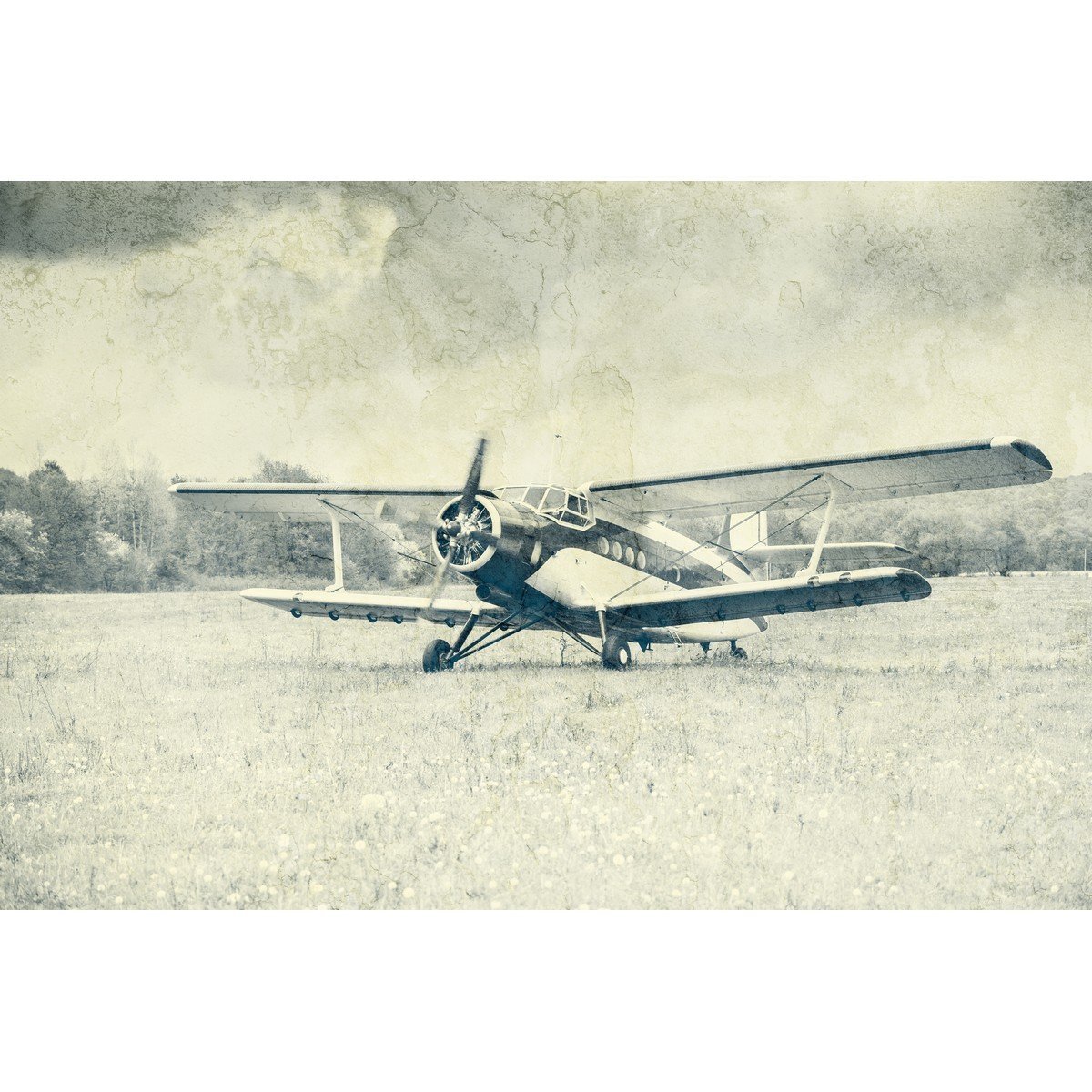 E442_356688812 Ρόλερ Vintage με Ψηφιακή Εκτύπωση - Image 1