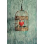 Ρόλερ Vintage με Ψηφιακή Εκτύπωση