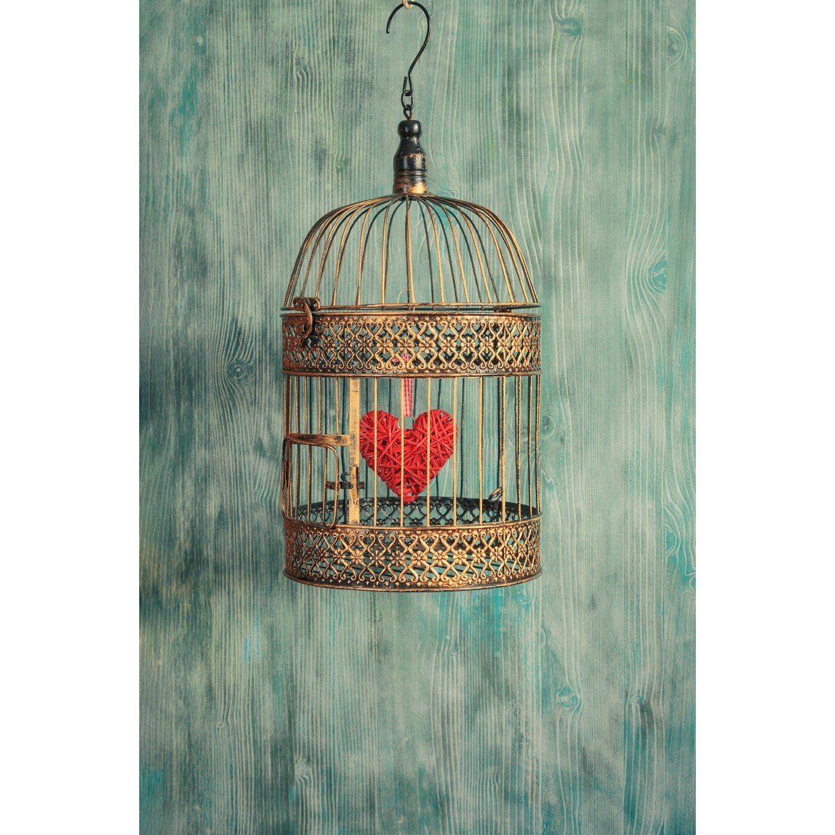 E446_376350130 Ρόλερ Vintage με Ψηφιακή Εκτύπωση - Image 1