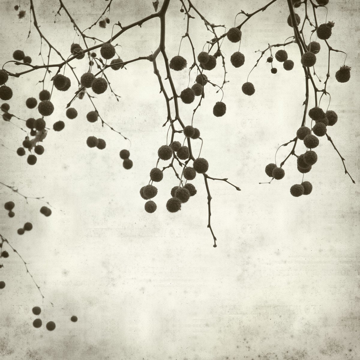 E447_123428401 Ρόλερ Vintage με Ψηφιακή Εκτύπωση - Image 1