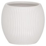 Convex white ποτήρι οδοντόβουρτσας Sealskin