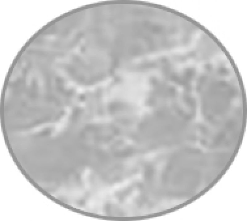 72-0124 ΚΑΠΑΚΙ ΒΑΛΒΙΔΑΣ ΝΙΠΤΗΡΑ χρωμα marmo chiaro - Image 1