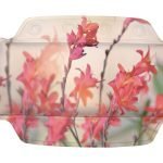 Μαξιλαράκι Μπάνιου Kolibri  Μαξιλαράκι 32x22 εκ