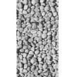 Αντιολισθητικό Μπάνιου Stepstone  Μπανιέρας 36x92 εκ