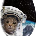 Καπάκι WC Cosmo Cat  37x45 εκ