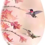 Καπάκι WC Kolibri  37x45 εκ