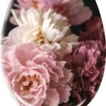 Καπάκι WC Rosemarie  37x45 εκ